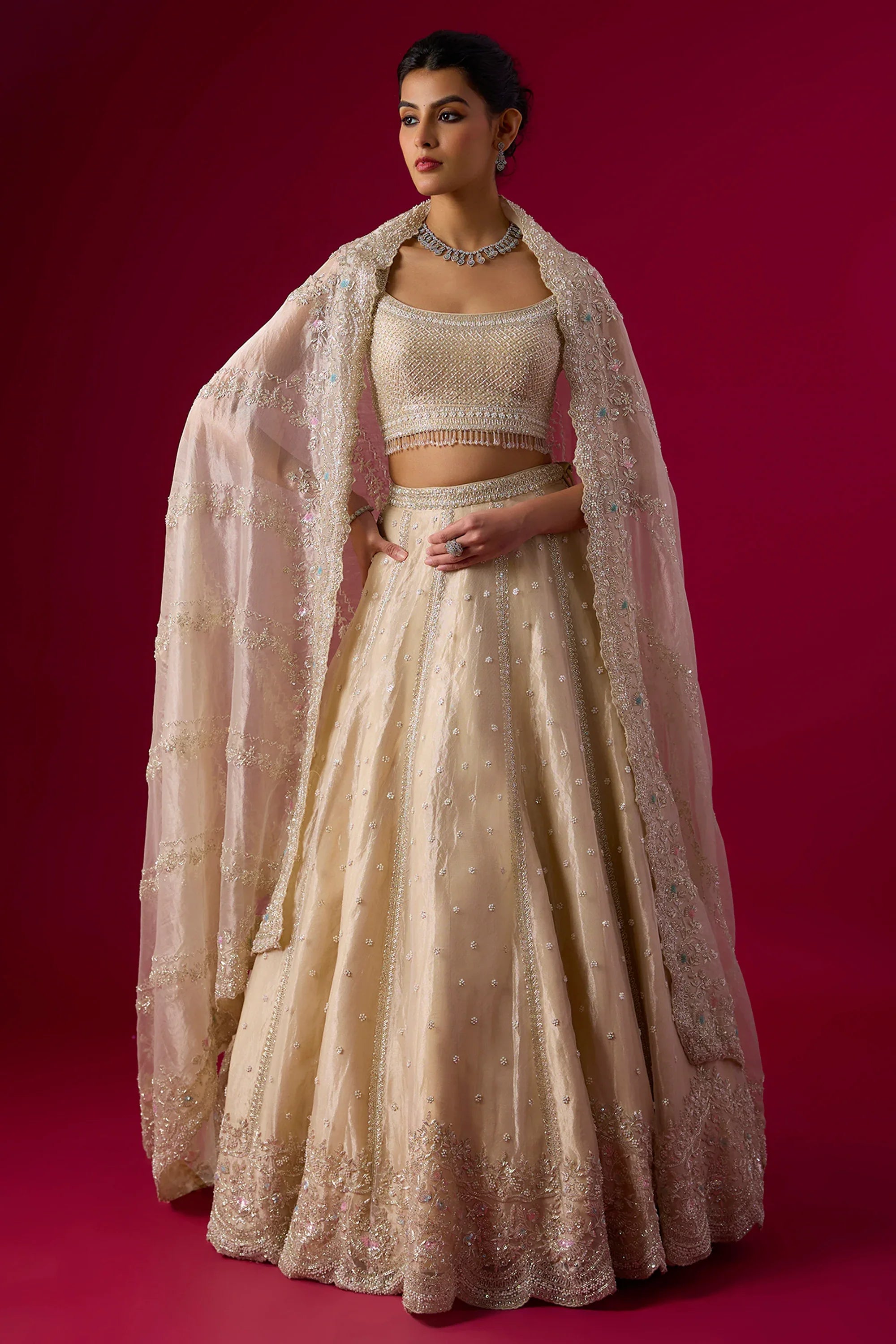 Champagne Tissue Sequins Embroidered Lehenga Set - Vedant G