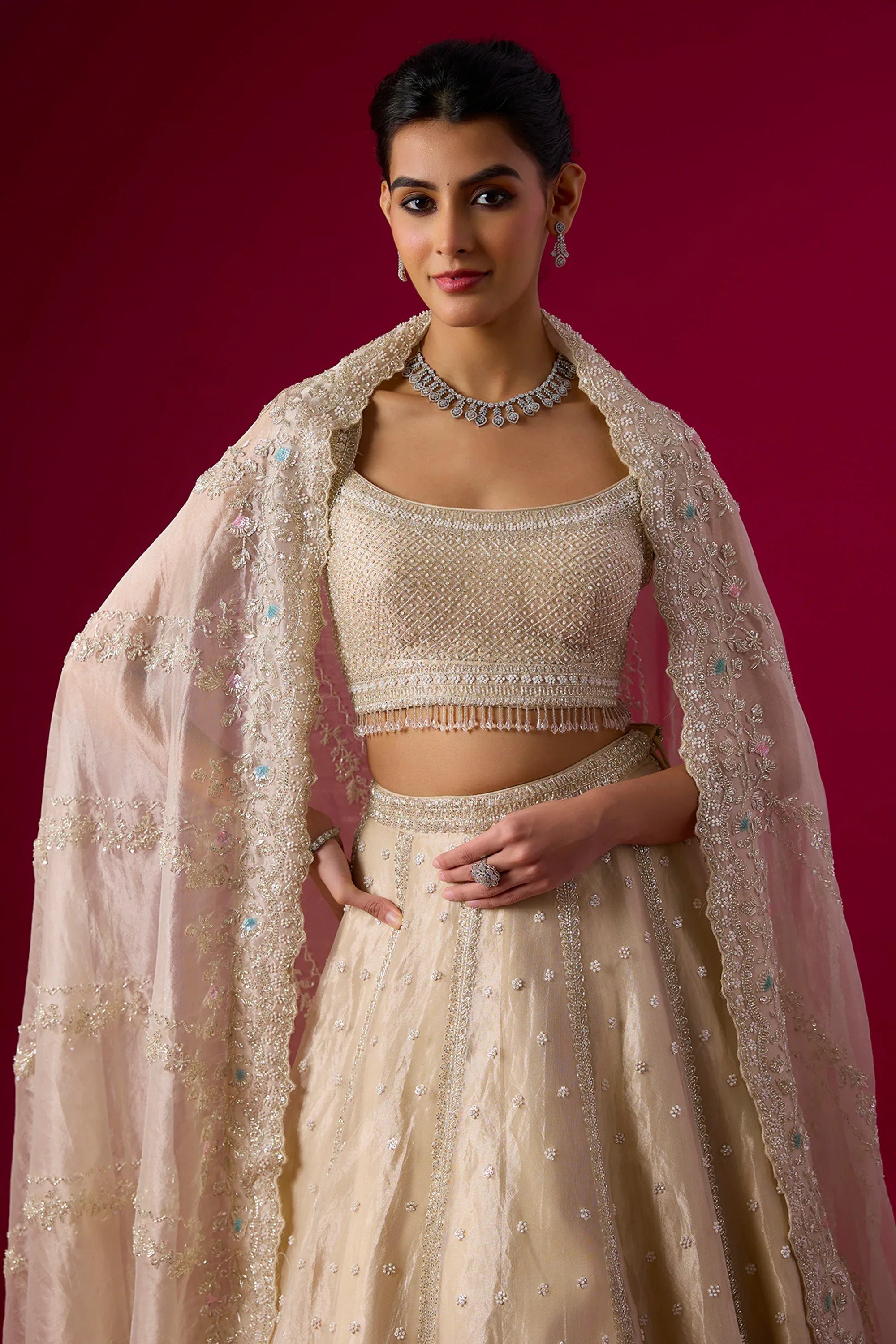 Champagne Tissue Sequins Embroidered Lehenga Set