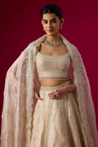 Champagne Tissue Sequins Embroidered Lehenga Set