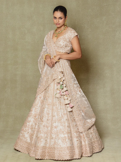 Champagne Silk Embroidered Lehenga Set - Vedant G