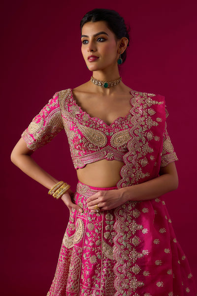 Pink Organza Zari Embroidered Lehenga Set
