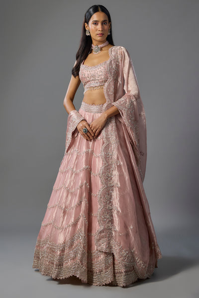Pink Tissue Sequins and Cutdana Embroidered Lehenga Set