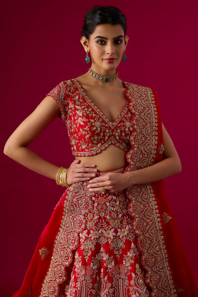 Red Silk Zardosi Embroidered Lehenga Set