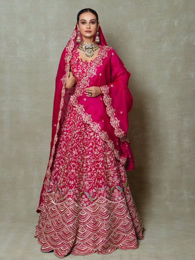 Rani Pink Organza Embroidered Lehenga Set