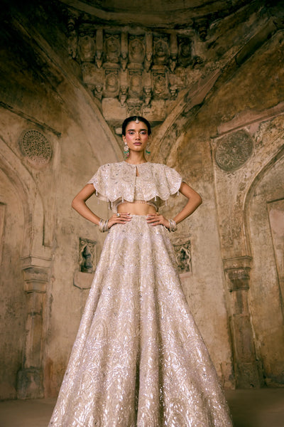 Champagne Tissue Cape Lehenga Set - Vedant G