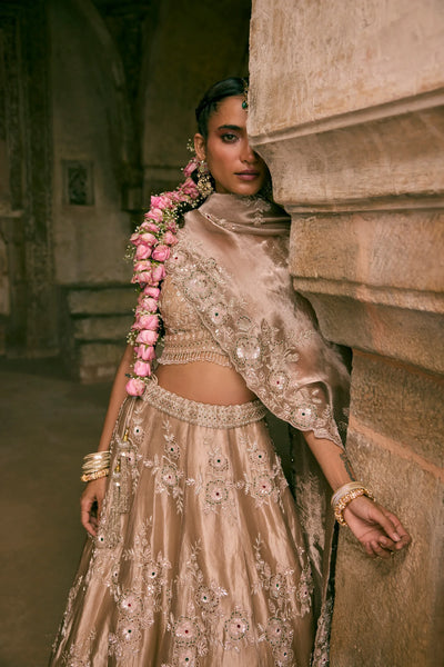 Brown Tissue Sequins Embroidered Lehenga Set - Vedant G