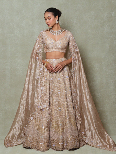 Brown Tissue Embroidered Lehenga Set - Vedant G