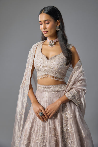 Lilac Tissue Sequins Embroidered Lehenga Set