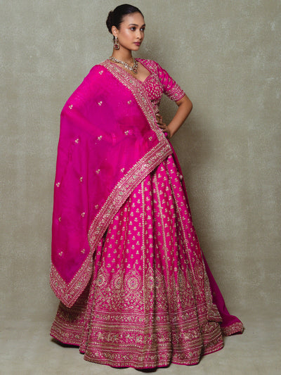 Rani Pink Tissue Embroidered Lehenga Set