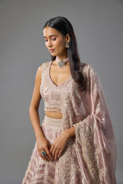 Lavender Tissue Sequins and Cutdana Embroidered Lehenga Set