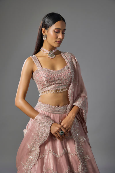 Pink Tissue Sequins and Cutdana Embroidered Lehenga Set