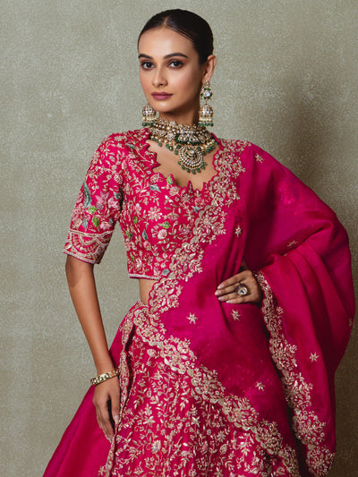 Rani Pink Organza Embroidered Lehenga Set