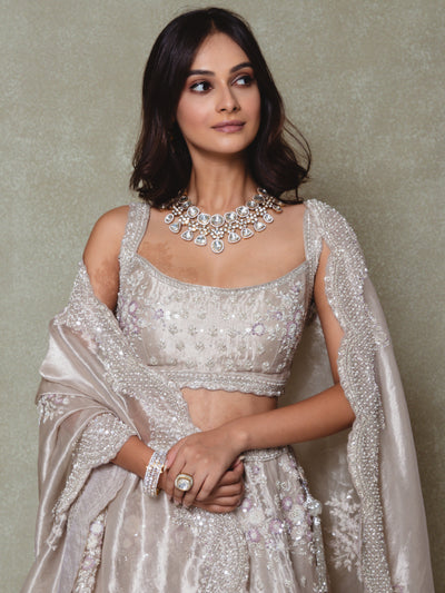 Grey Tissue Embroidered Lehenga