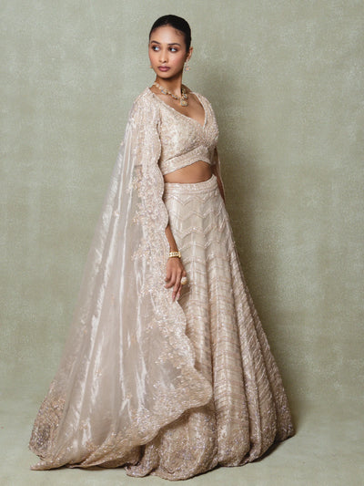 Champagne Tissue Cutdana Embroidered Lehenga Set - Vedant G