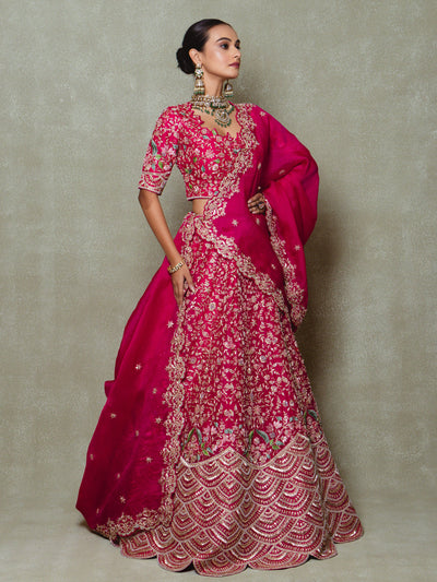 Rani Pink Organza Embroidered Lehenga Set