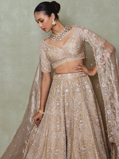 Brown Tissue Embroidered Lehenga Set - Vedant G