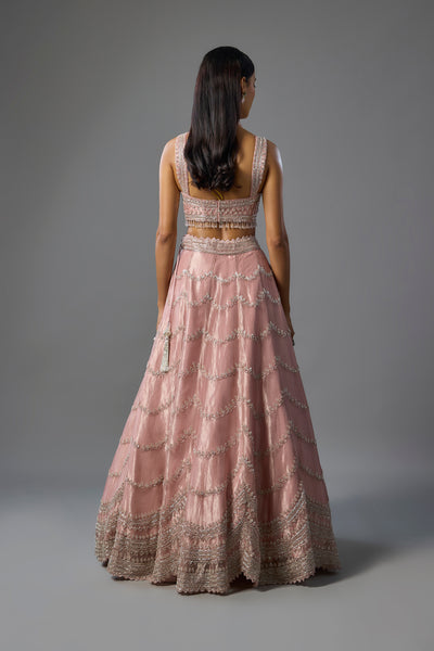 Pink Tissue Sequins and Cutdana Embroidered Lehenga Set