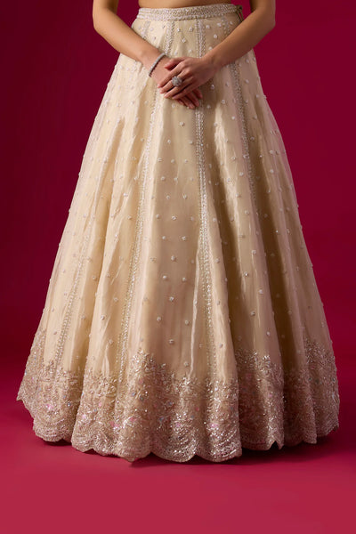 Champagne Tissue Sequins Embroidered Lehenga Set - Vedant G