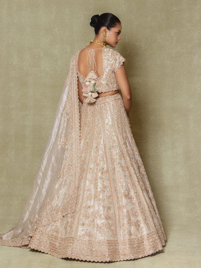 Champagne Silk Embroidered Lehenga Set - Vedant G