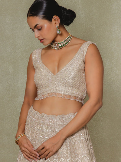 Champagne Tissue Cutdana and Sequins Embroidered Lehenga Set - Vedant G