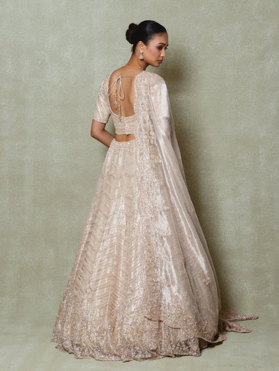 Champagne Tissue Cutdana Embroidered Lehenga Set - Vedant G